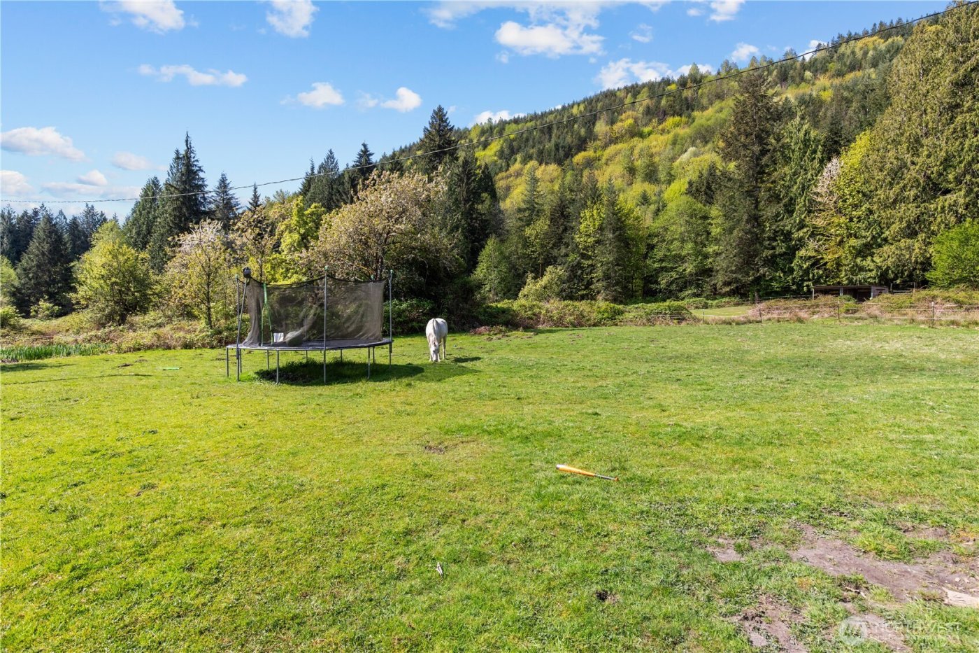 27525 W Lake Riley Road , Arlington, WA 98223