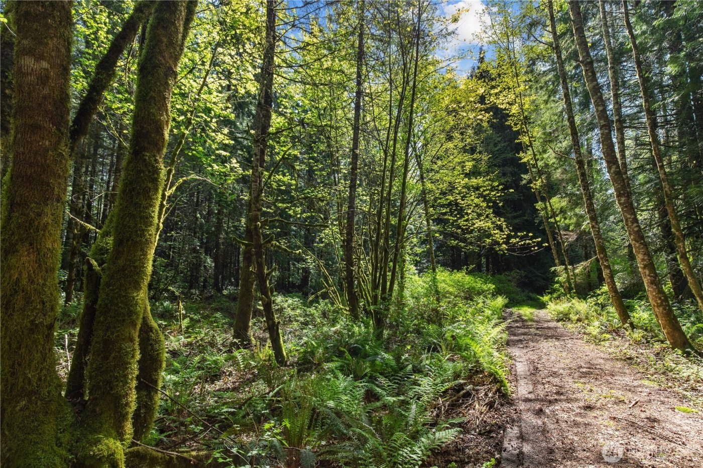 27525 W Lake Riley Road , Arlington, WA 98223