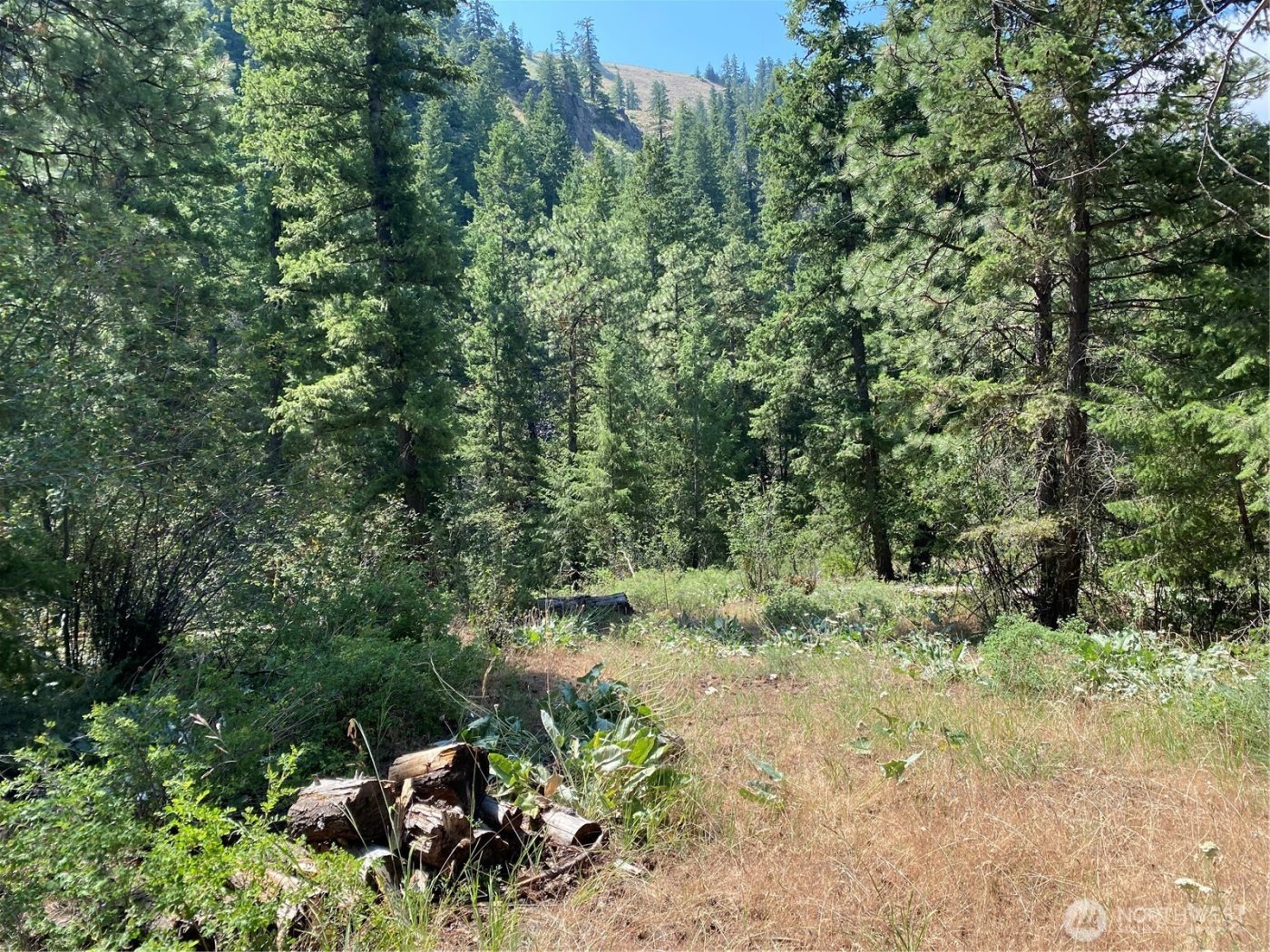 0 Big Springs Ranch Road , Malaga, WA 98828
