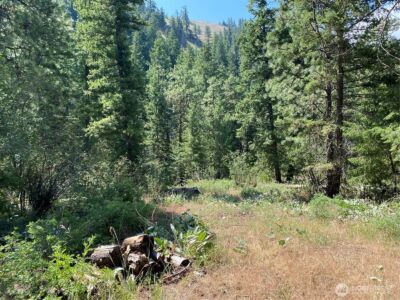 0 Big Springs Ranch Road , Malaga, WA 98828 - Photo 22