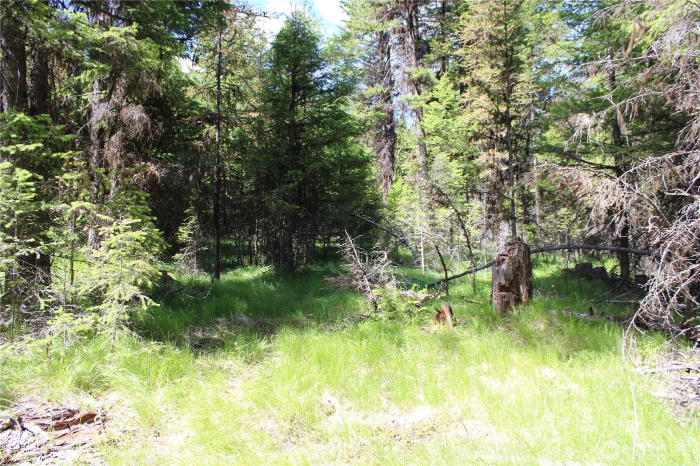 325 Pontiac Ridge , Tonasket, WA 98855