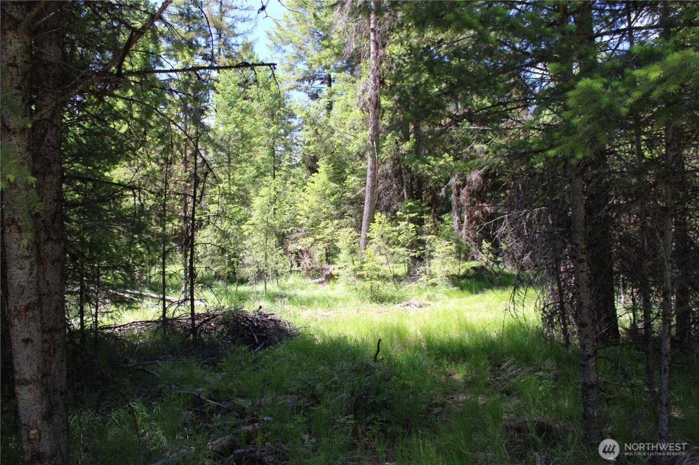 325 Pontiac Ridge , Tonasket, WA 98855