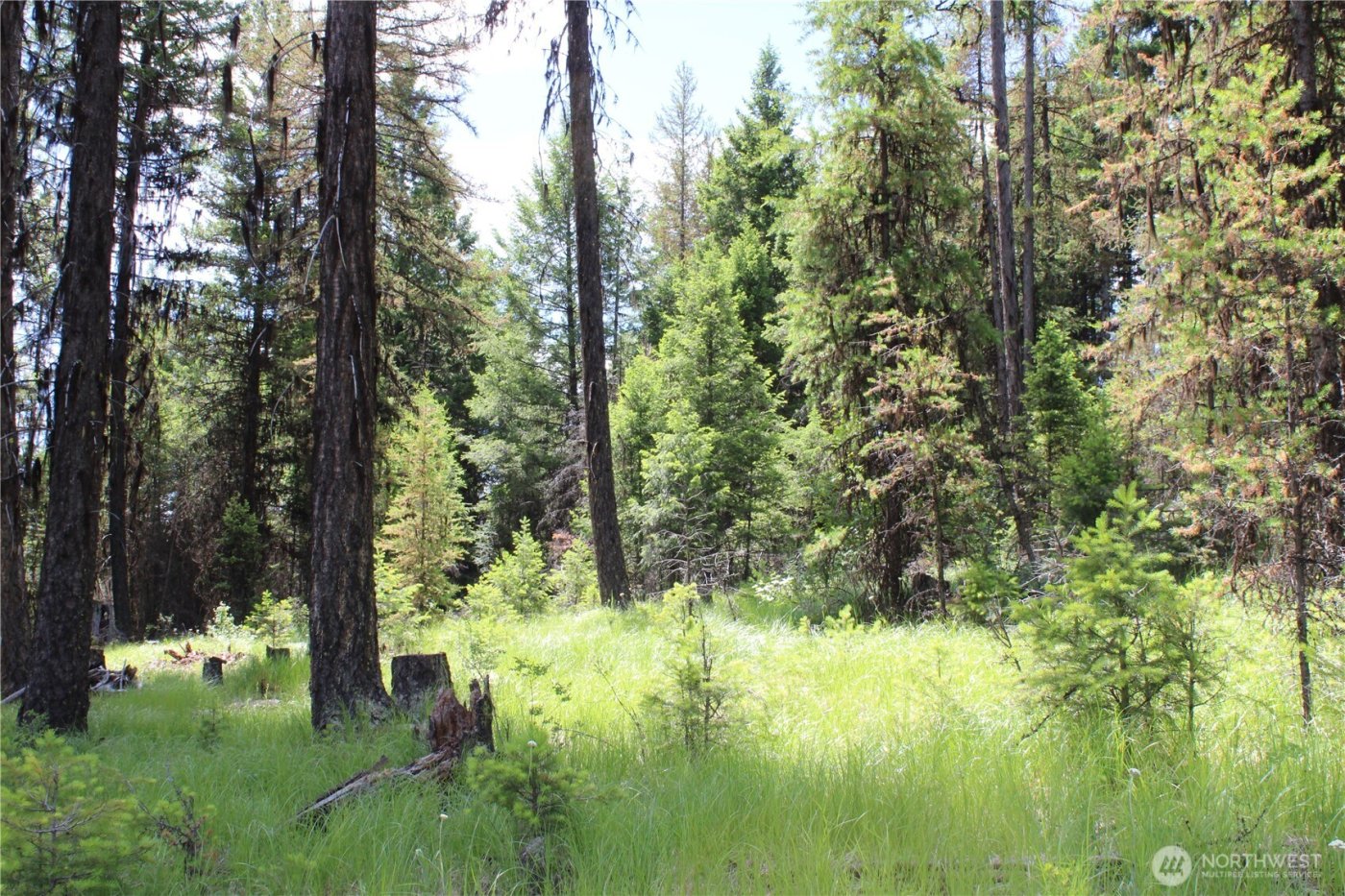 325 Pontiac Ridge , Tonasket, WA 98855