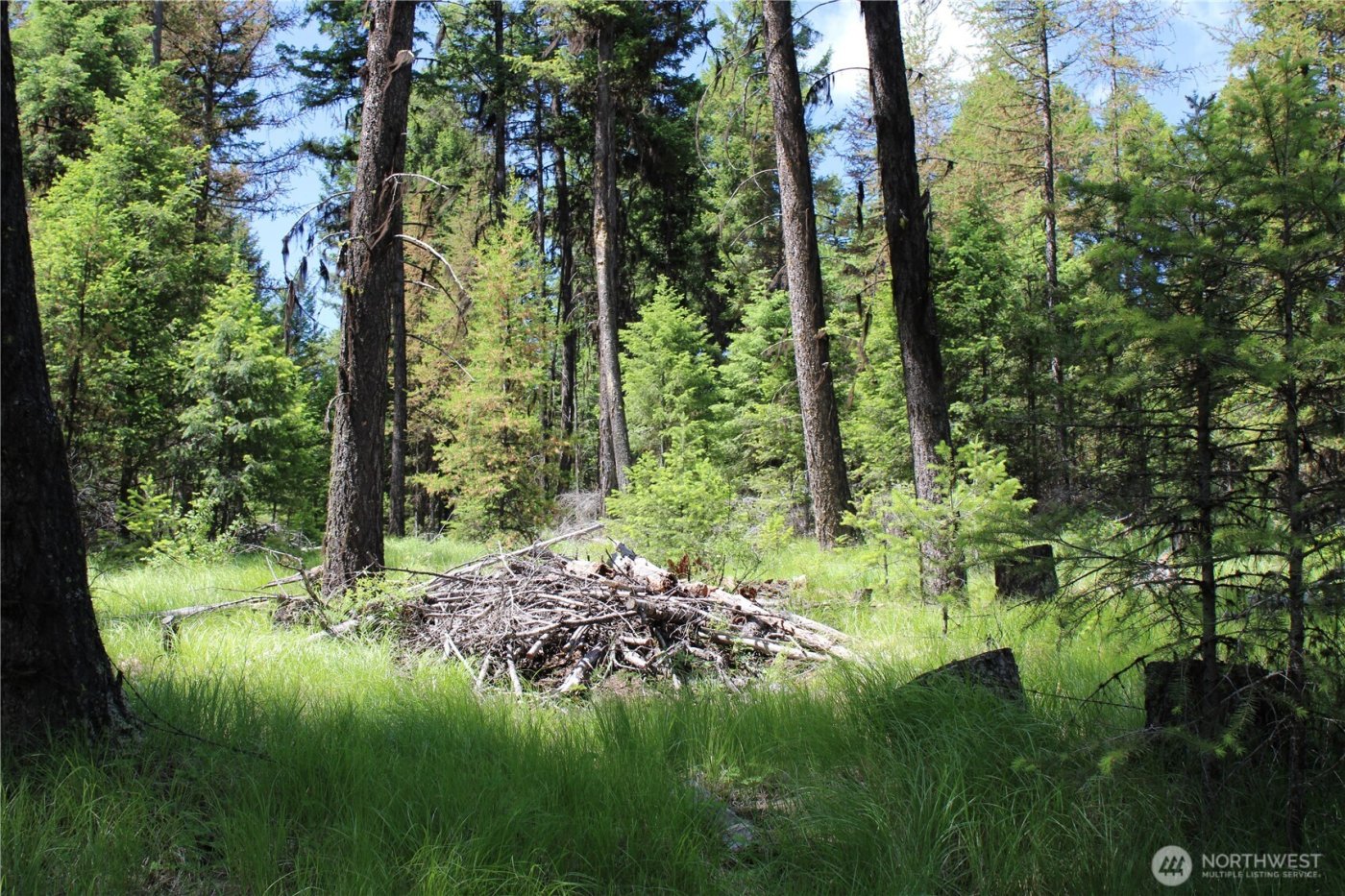 325 Pontiac Ridge , Tonasket, WA 98855