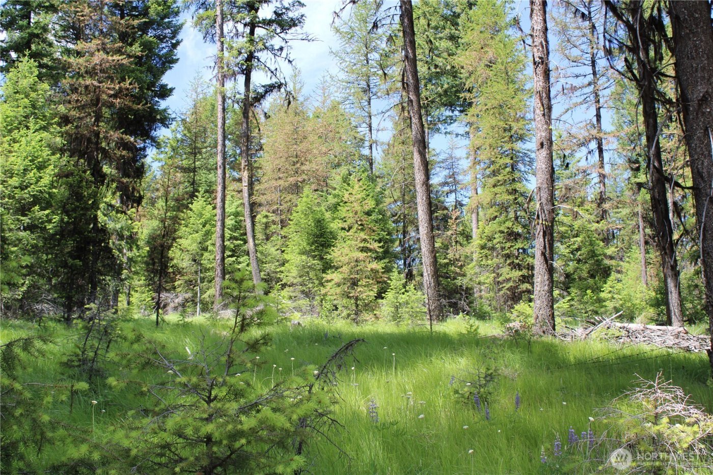 325 Pontiac Ridge , Tonasket, WA 98855