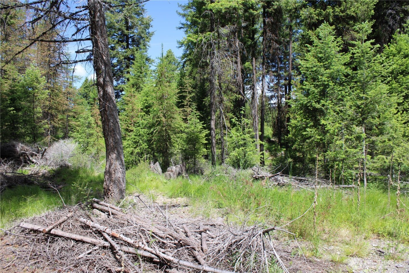 325 Pontiac Ridge , Tonasket, WA 98855