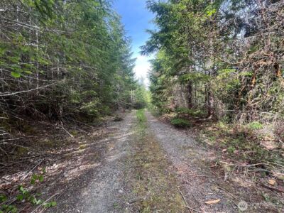 0 N US Hwy 101 , Lilliwaup, WA 98555 - Photo 22