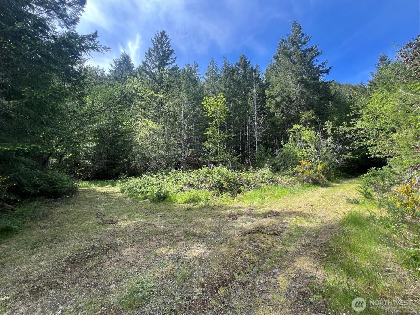 0 N US Hwy 101 , Lilliwaup, WA 98555