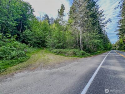 0 N US Hwy 101 , Lilliwaup, WA 98555 - Photo 5