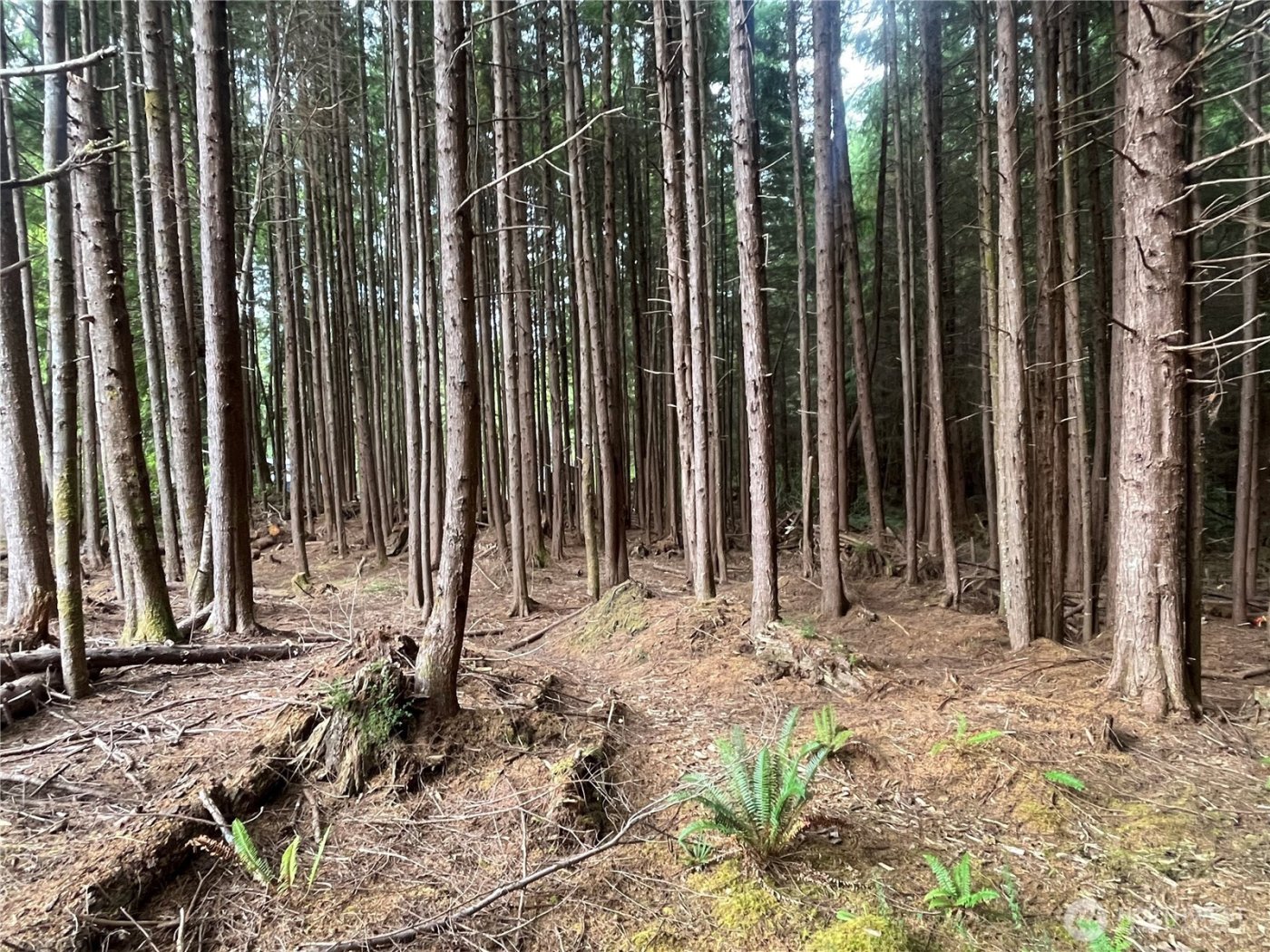 282 Copalis Beach Road , Copalis Beach, WA 98355