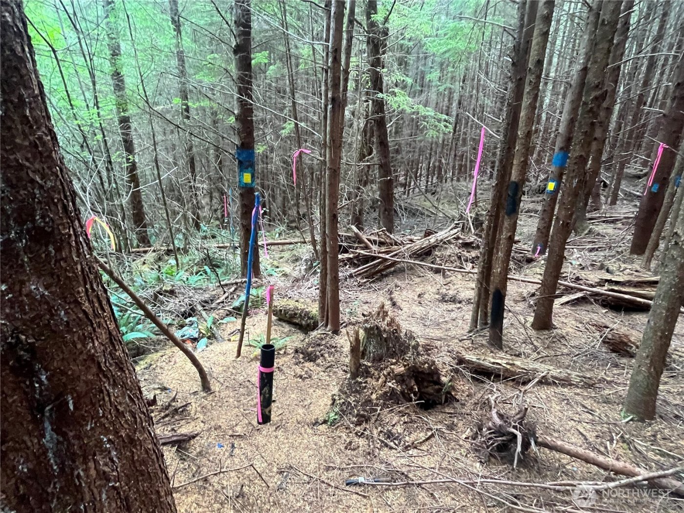 282 Copalis Beach Road , Copalis Beach, WA 98355