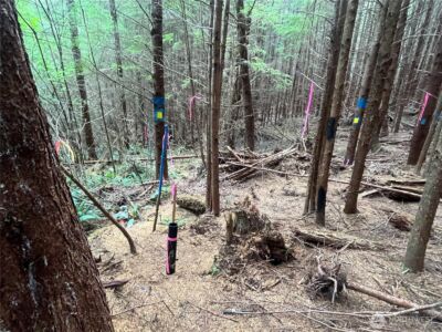 282 Copalis Beach Road , Copalis Beach, WA 98355 - Photo 21