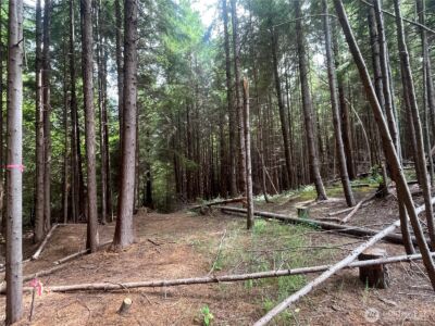 282 Copalis Beach Road , Copalis Beach, WA 98355 - Photo 22