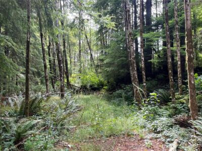 282 Copalis Beach Road , Copalis Beach, WA 98355 - Photo 27