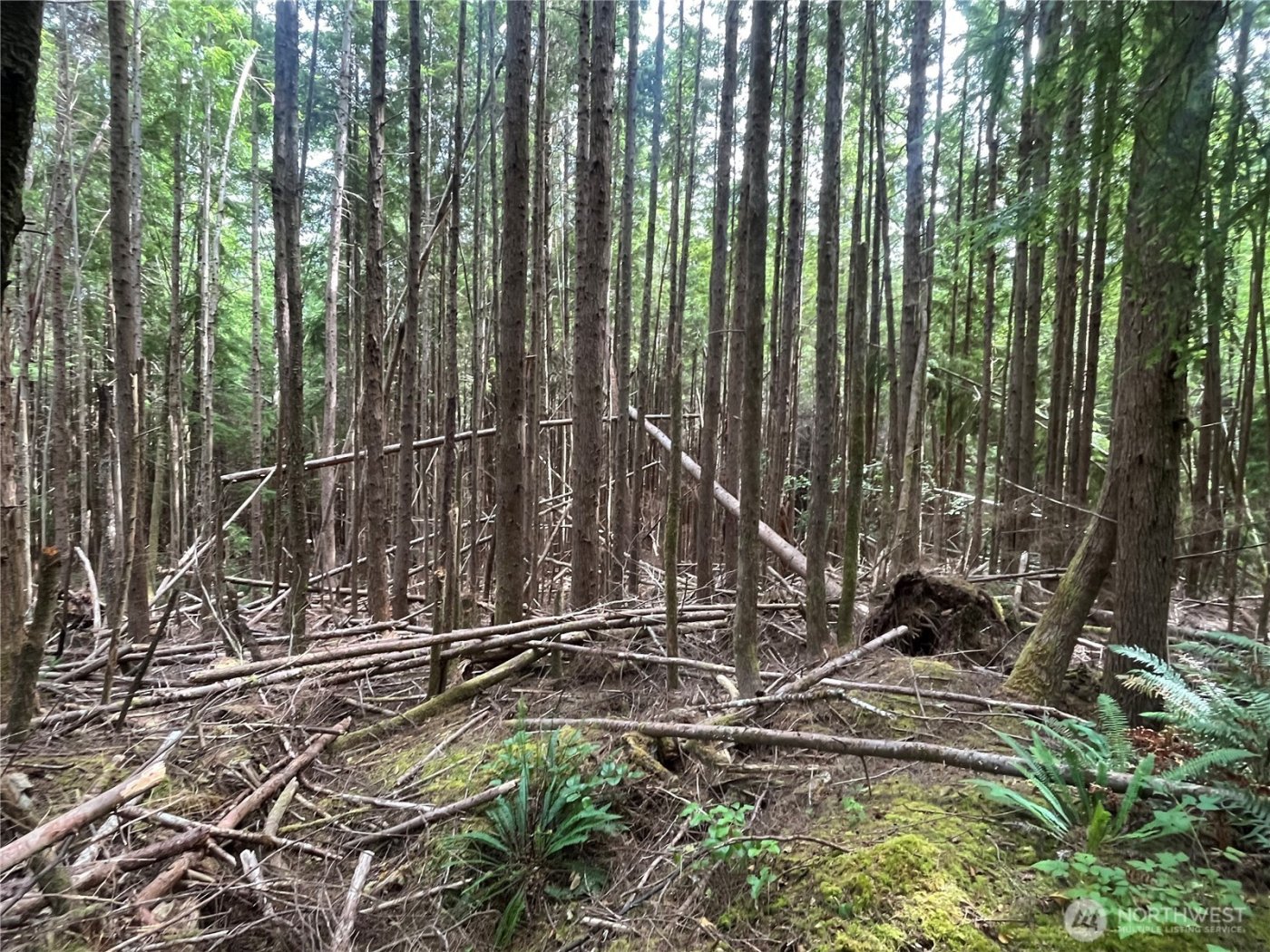 282 Copalis Beach Road , Copalis Beach, WA 98355