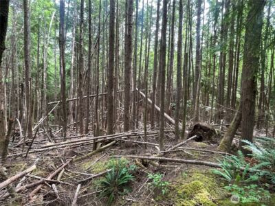 282 Copalis Beach Road , Copalis Beach, WA 98355 - Photo 28