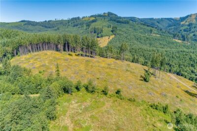 393 Hansen EXT Road , Woodland, WA 98674 - Photo 15
