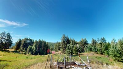 100 Spring Meadow Lane , Oroville, WA 98844 - Photo 19