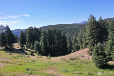 100 Spring Meadow Lane , Oroville, WA 98844 - Photo 26