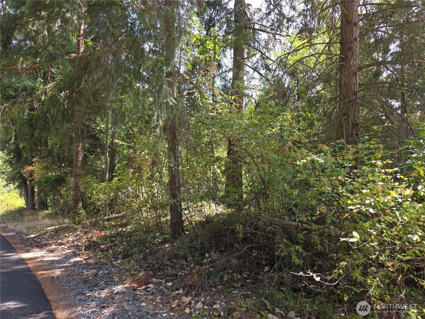 22137 Clear Lake Boulevard SE, Yelm, WA 98597