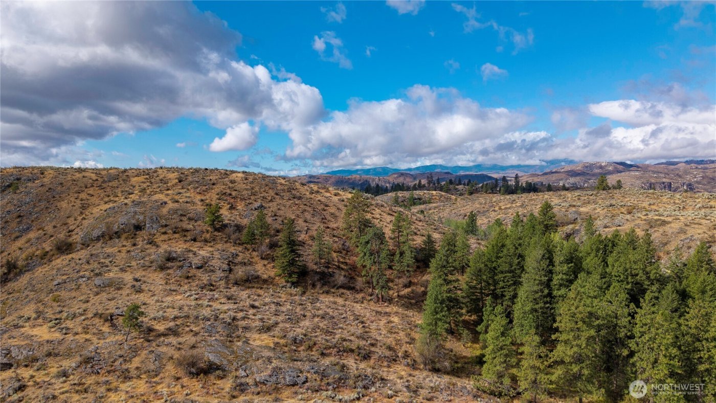 0 TBD Pharr Out - 2 Way , Omak, WA 98841