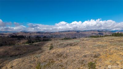 0 TBD Pharr Out - 2 Way , Omak, WA 98841 - Photo 9