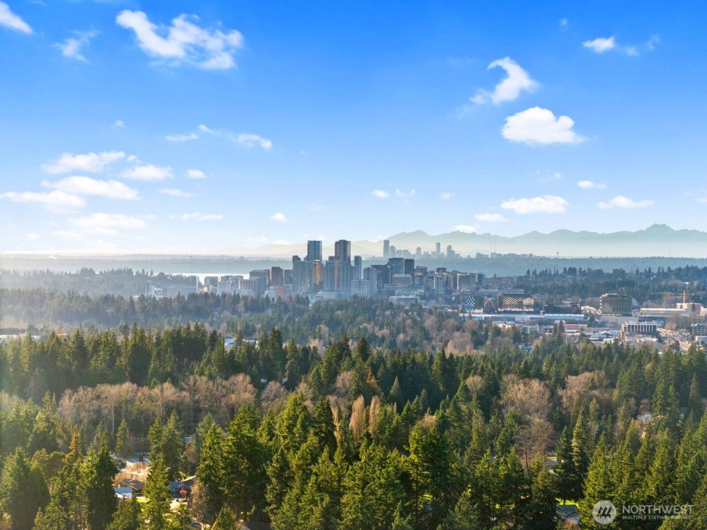 1414 154th Avenue NE #4406, Bellevue, WA 98007