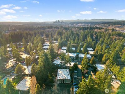 1414 154th Avenue NE #4406, Bellevue, WA 98007 - Photo 33