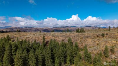 0 TBD Pharr Out - 7 Way , Omak, WA 98841 - Photo 4