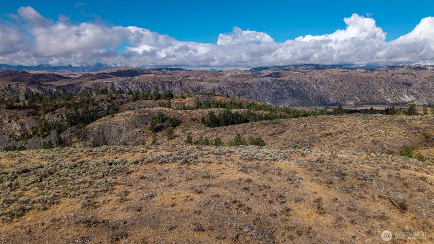 0 TBD Pharr Out - 8 Way , Omak, WA 98841