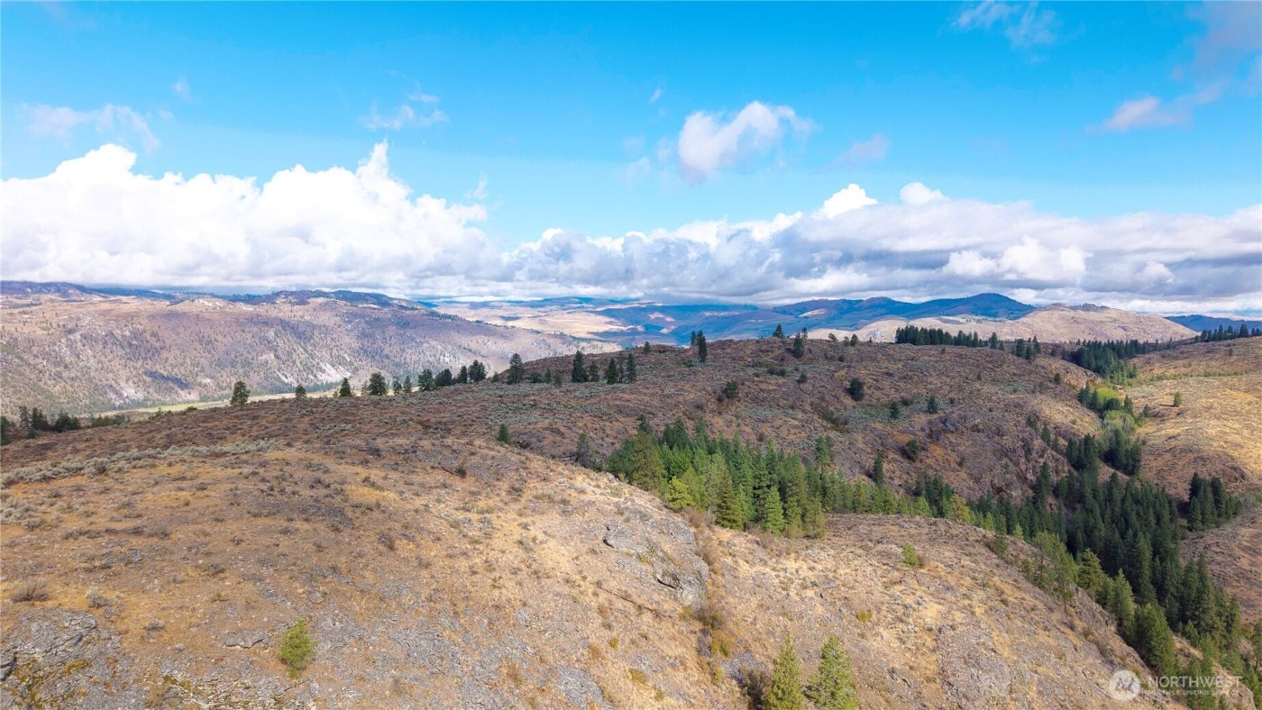 0 TBD Pharr Out - 17 Way , Omak, WA 98841