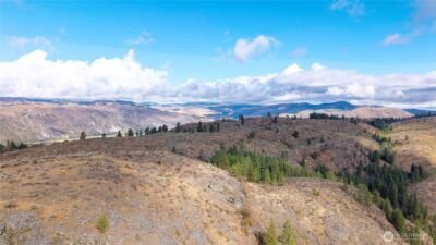 0 TBD Pharr Out - 17 Way , Omak, WA 98841 - Photo 3