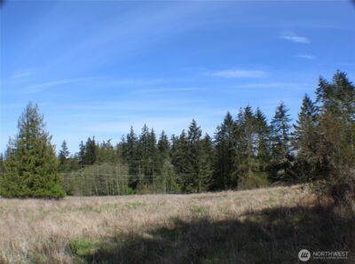 999 Oso Vista Court , Sequim, WA 98382