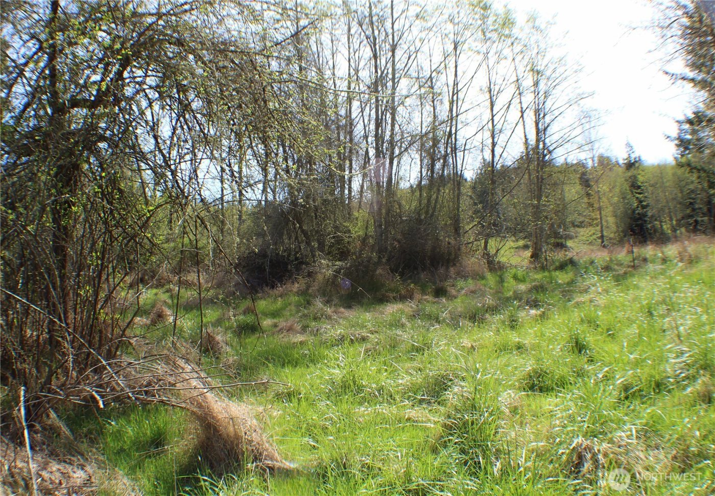 999 Oso Vista Court , Sequim, WA 98382