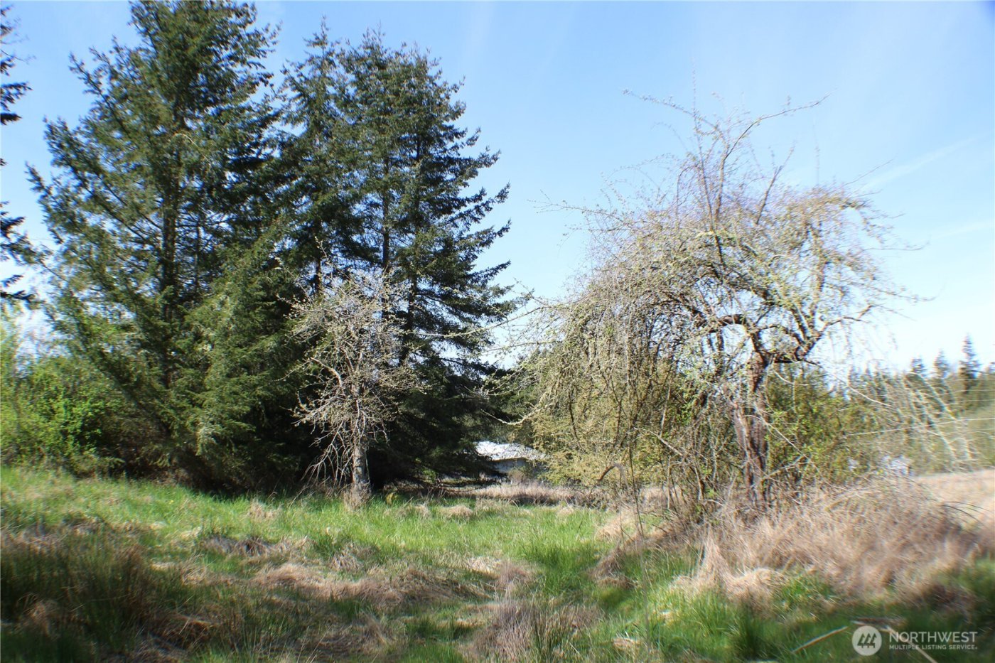 999 Oso Vista Court , Sequim, WA 98382