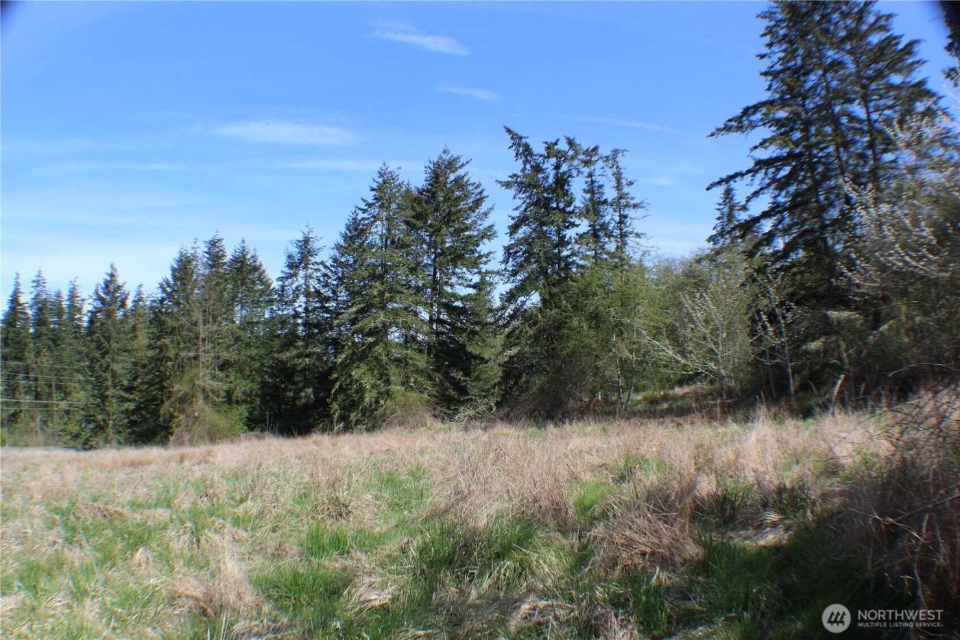 999 Oso Vista Court , Sequim, WA 98382