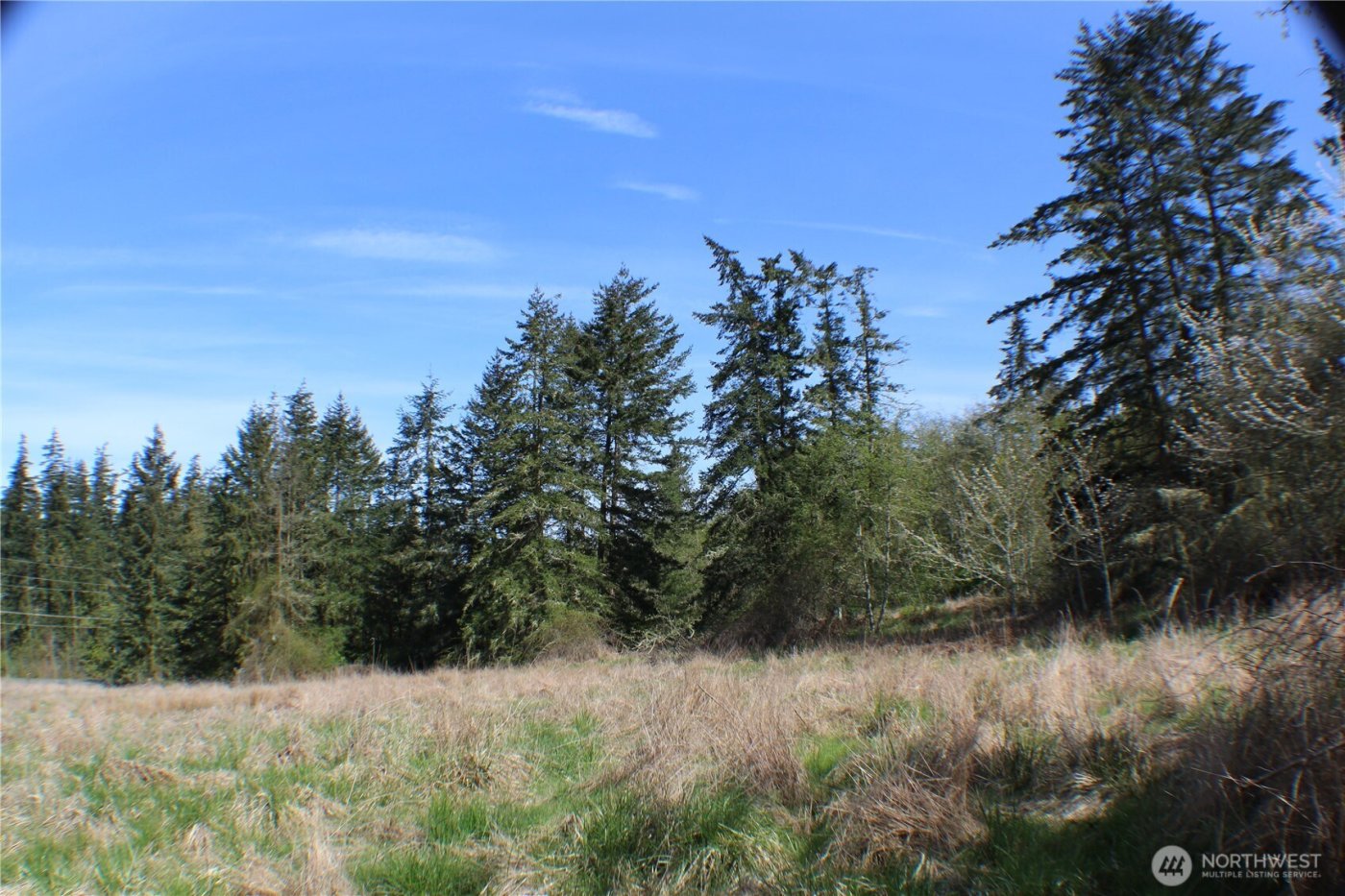 999 Oso Vista Court , Sequim, WA 98382