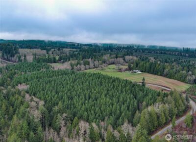 1 xxx Snow Creek Road , Quilcene, WA 98376