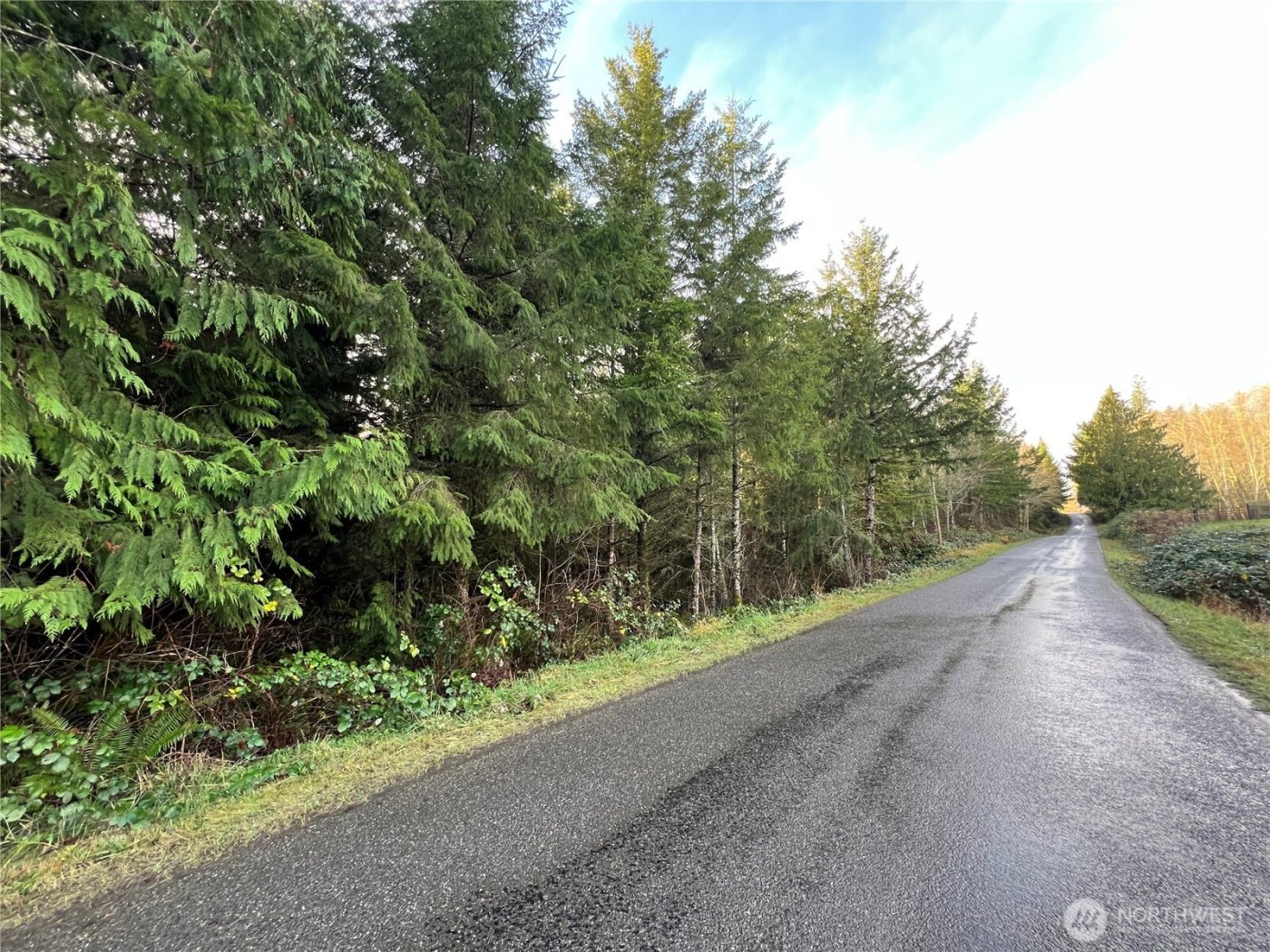 1 xxx Snow Creek Road , Quilcene, WA 98376