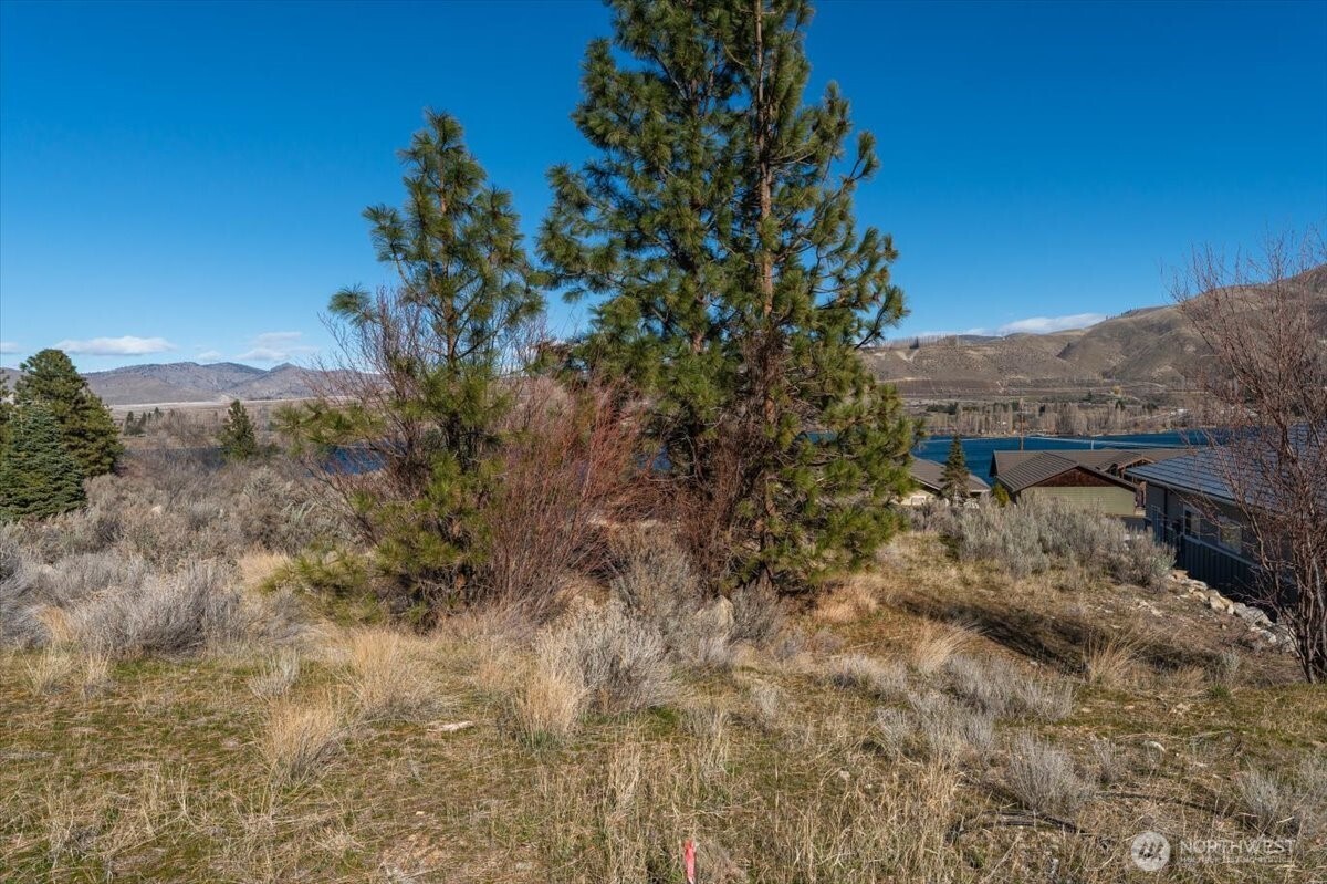 15315 Lakeview Street , Entiat, WA 98822