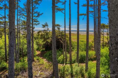 34 Seaside Lane , Pacific Beach, WA 98571 - Photo 2