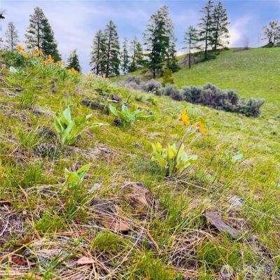 66 Coyote Lane , Waterville, WA 98843 - Photo 4