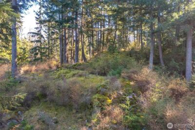 212 Eagle Lake Lane , Orcas Island, WA 98280 - Photo 17