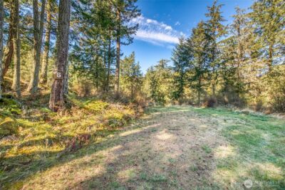 212 Eagle Lake Lane , Orcas Island, WA 98280 - Photo 6