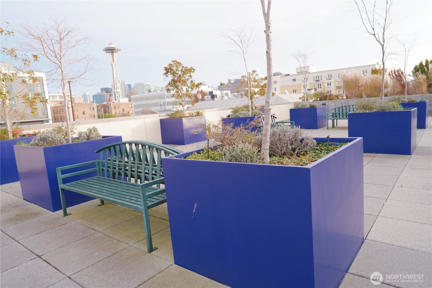 17 W Mercer Street #207, Seattle, WA 98119