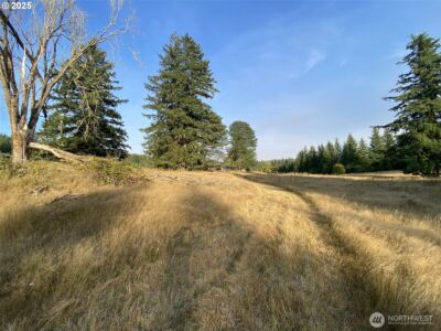23801 NE Muncton Drive , Yacolt, WA 98675 - Photo 4