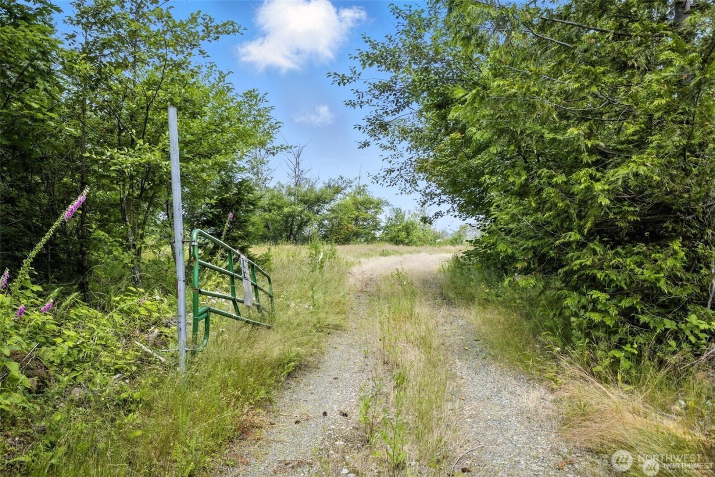 35022 SE 332nd Street , Ravensdale, WA 98051