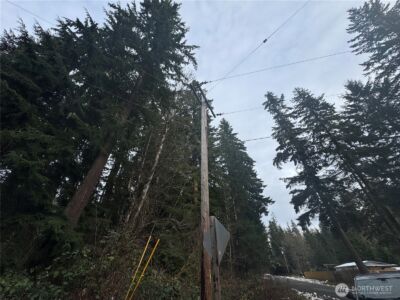 31319 555th Street E, Ashford, WA 98304 - Photo 11