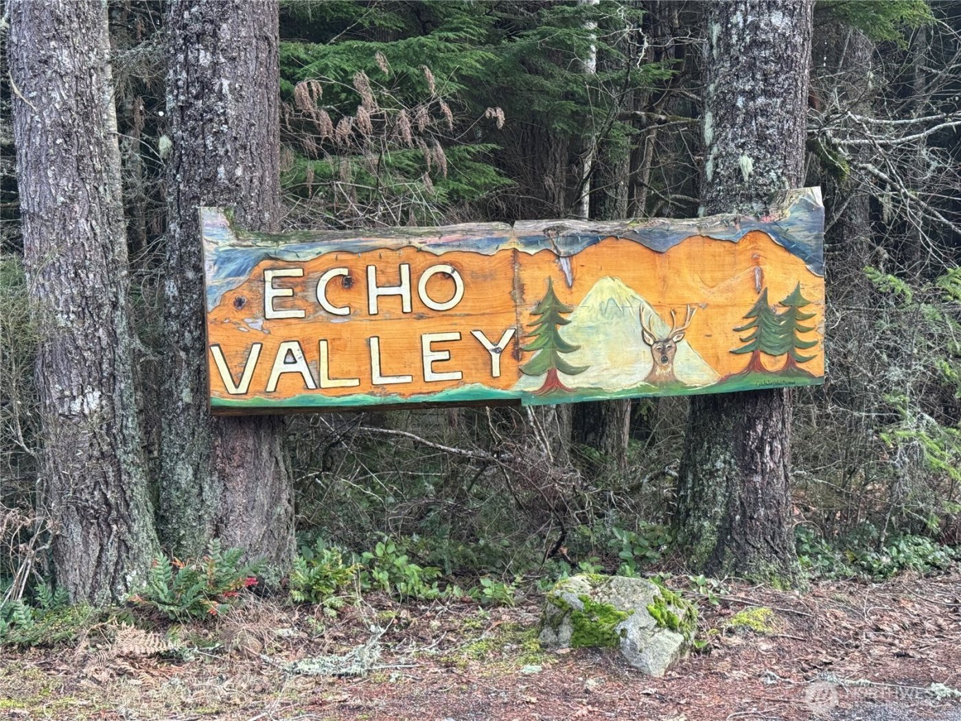 31319 555th Street E, Ashford, WA 98304