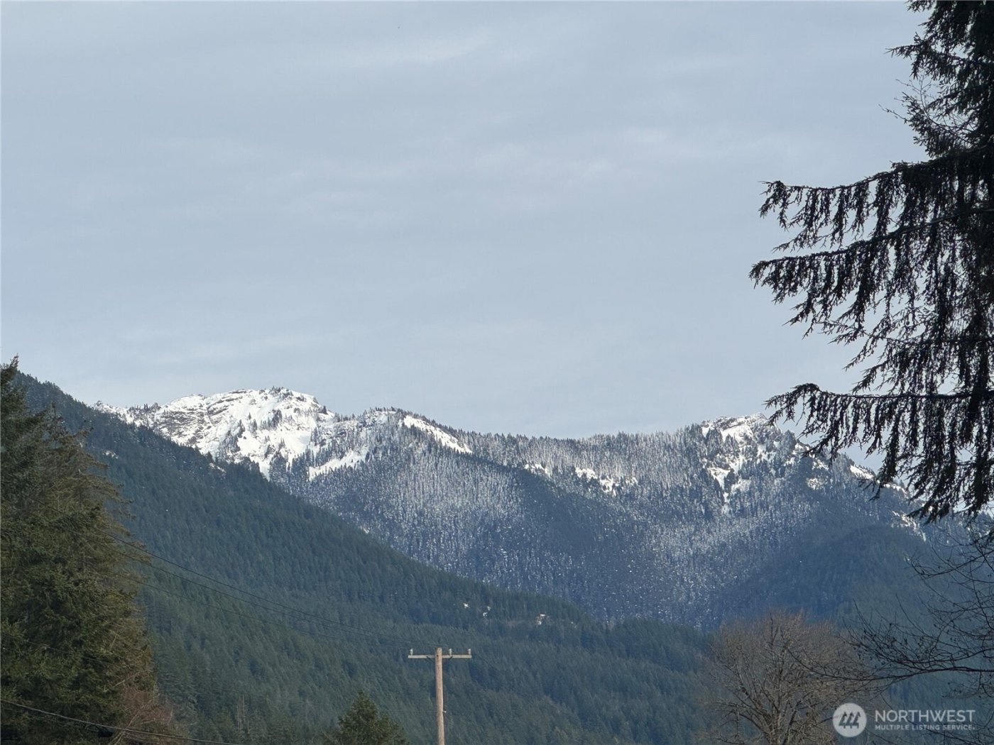 31319 555th Street E, Ashford, WA 98304